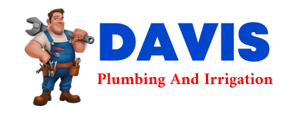 Trusted plumber in BUENA VISTA